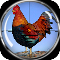 Jungle chicken hunting