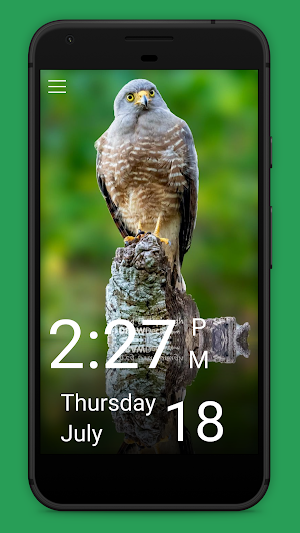 Daily Bird Screenshot 1