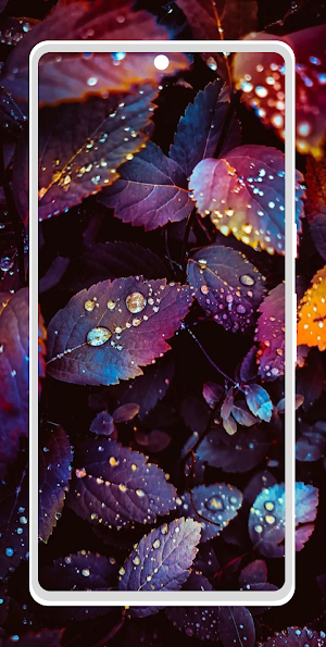 I love Wallpapers - Gld Screenshot 1