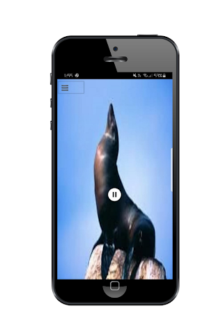 Seal Sound Screenshot 0