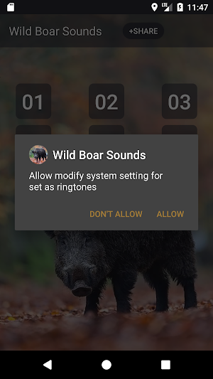 Wild boar sound & calls Screenshot 2