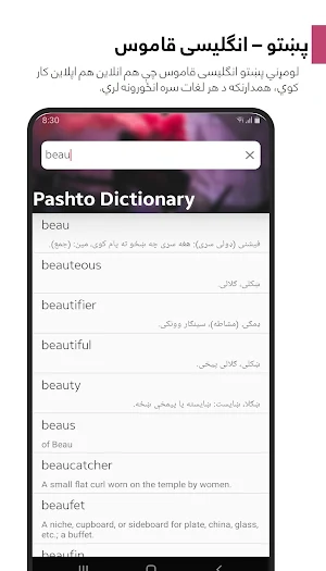 Pashto Smart Dictionary Screenshot 0