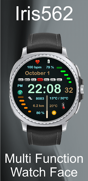 Iris562 Multi-Function Digital Screenshot 3