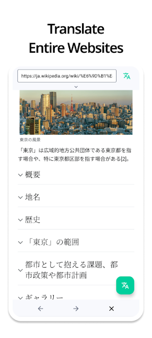 Screen Translate Agent Screenshot 2