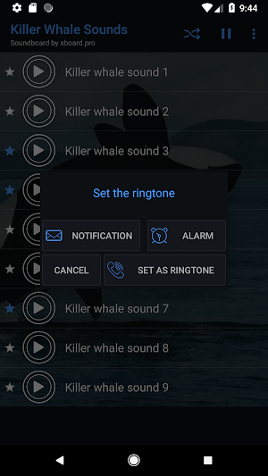 Killer Whale sounds ~ Sboard.pro Screenshot 2