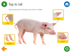 The Three Little Pigs - US Screenshot 3