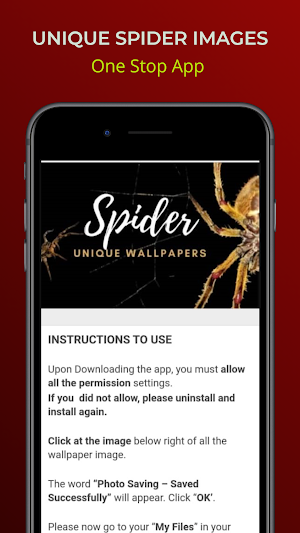 New year Spider Unique Wallpap Screenshot 3