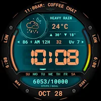 Informative Digital Watch 072