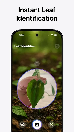 Leaf Identifier Screenshot 1
