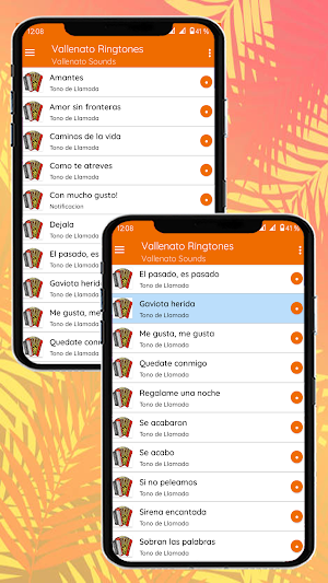 Vallenato Ringtones Screenshot 0