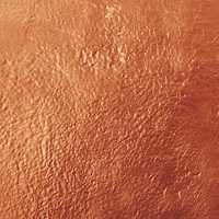 The Bronze App