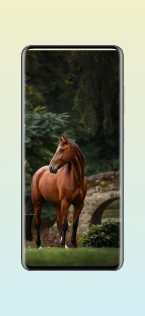 Horse Live Wallpapers HD Screenshot 0