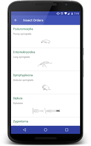 Insects of South Africa Screenshot 2