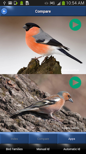 Bird Song Id: Auto Recognition Screenshot 3