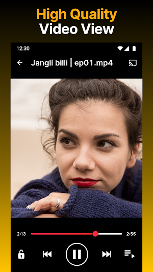 Video Downloader HD - Vidow Screenshot 3