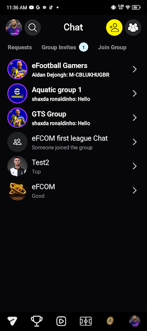 eFCOM Screenshot 3