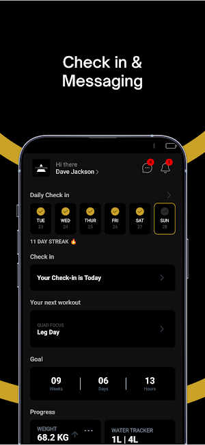 Maestro Coaching Screenshot 0