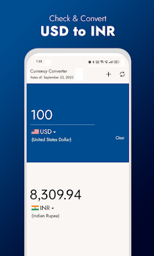 Currency Converter Screenshot 2