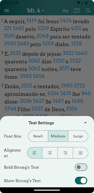 Bíblia Sagrada Concordância Screenshot 3