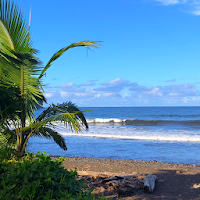 tropical beach live wallpaper