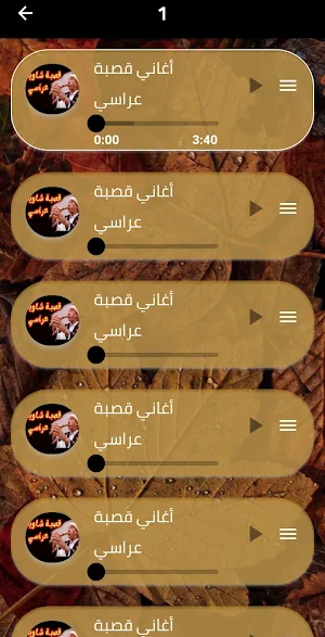 اغاني قصبة عراسي 2024 دون نت Screenshot 2