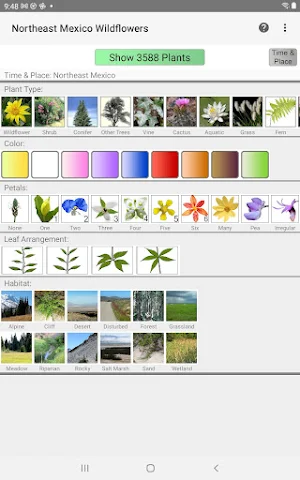 Northeast Mexico Wildflowers Screenshot 0