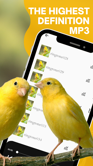 Canary bird singing screenshot 3