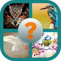GUESS THE BIRDS CHALLENGE