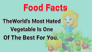 Amazing Daily Facts -Cool Fact Screenshot 2