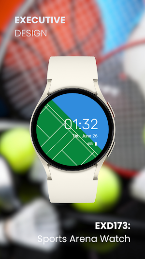 EXD173: Sports Arena Watch Screenshot 2