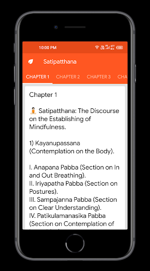 Satipatthana: The Mindfulness Screenshot 0