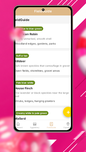 Rejeki Hub Screenshot 2