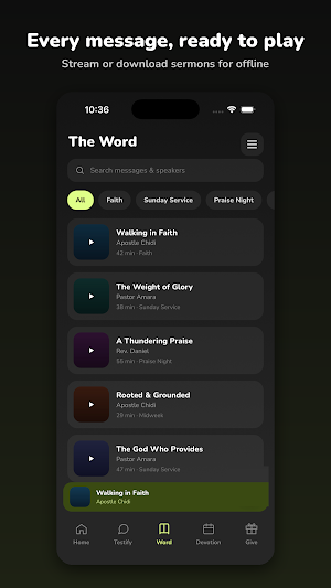 WordFeast Screenshot 2