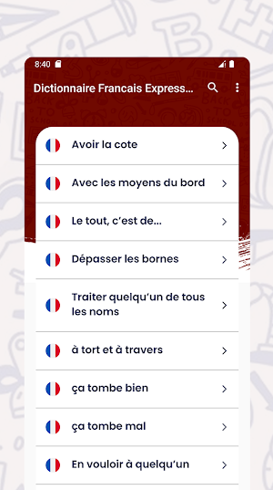 Dictionnaire des Expressions Screenshot 1