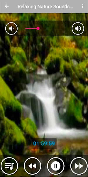 Relaxing Forest Nature Sounds Screenshot 0