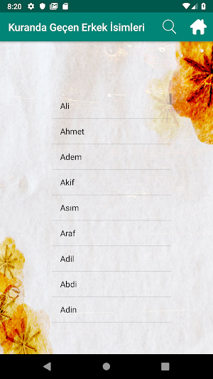 Bebek isimleri Screenshot 3