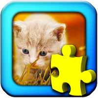 Kittens - Jigsaw Puzzles