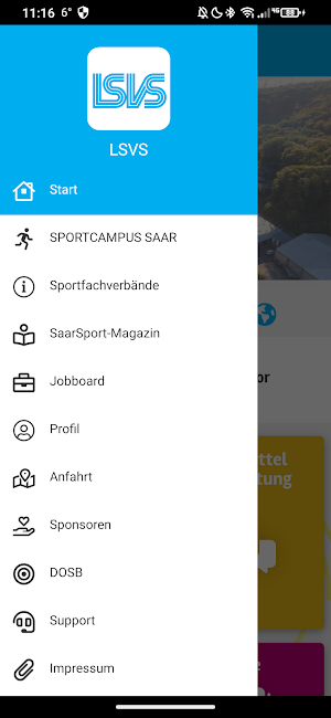 LSVS Screenshot 2