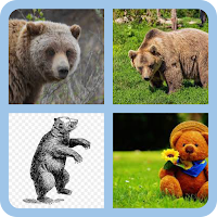 4 Pics 1 Word