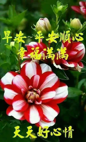 早上好 Screenshot 1