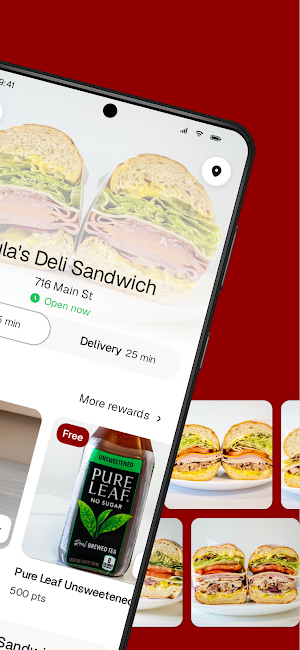 Zula's Deli Sandwich Screenshot 1