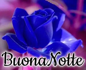 Buonanotte Screenshot 2
