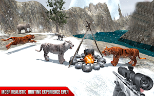 Ferocious Tiger Attack-Big Cat Hunter Screenshot 3