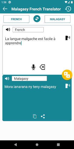Malagasy French Translator Screenshot 0