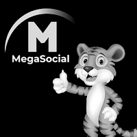 MegaSocial