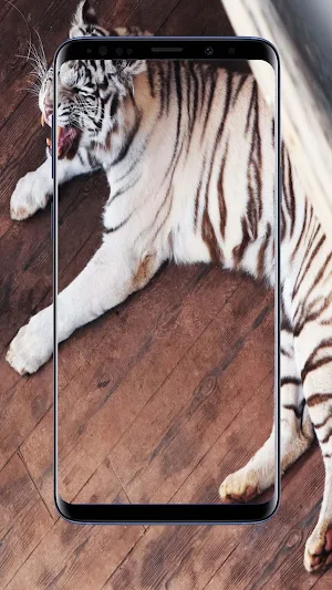 Tiger Wallpapers Screenshot 3