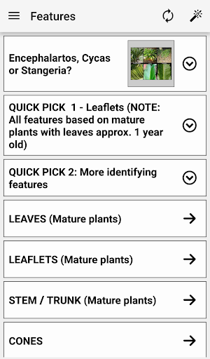 IDentifyIt Cycads Screenshot 0