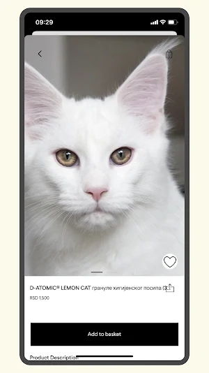 D-ATOMIC CAT Screenshot 3