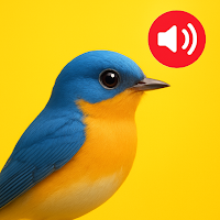 WildTone-Sounds-of-the-Wild