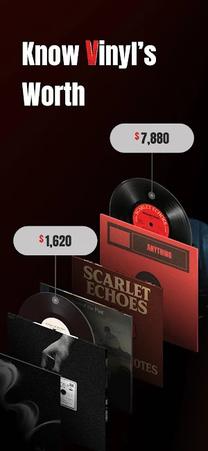 VinylSnap: Scan & Value Record Screenshot 0